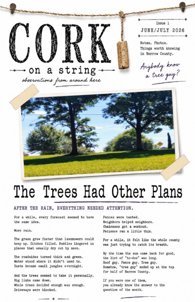 Cover of Cork on a String, Issue 1